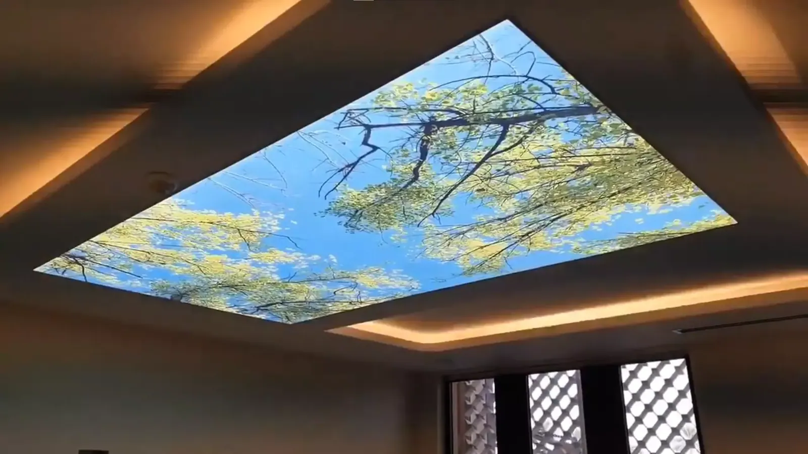 3D натяжной потолок — Курган, 2-й микрорайон, 8а, фото 1